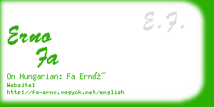 erno fa business card